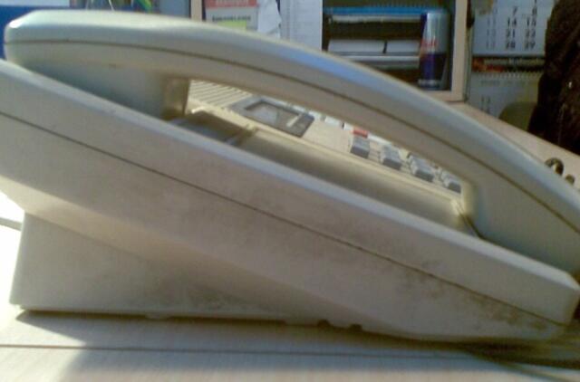 Telefoniniams sukčiams - baudos ir laisvės atėmimas