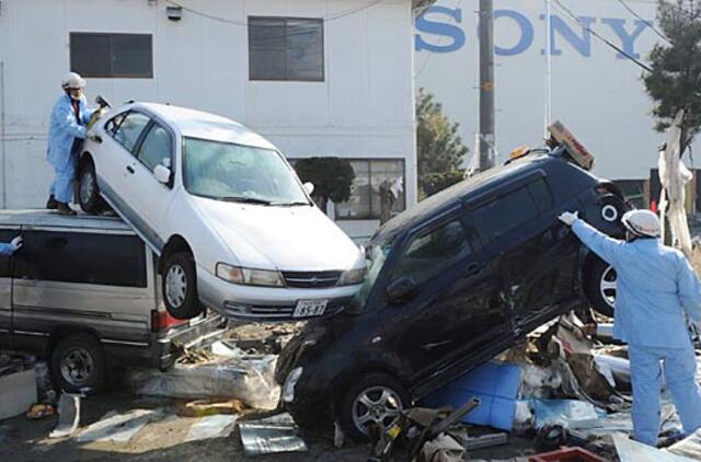 Automobilių pramonės ratuose - japoniškas rąstas