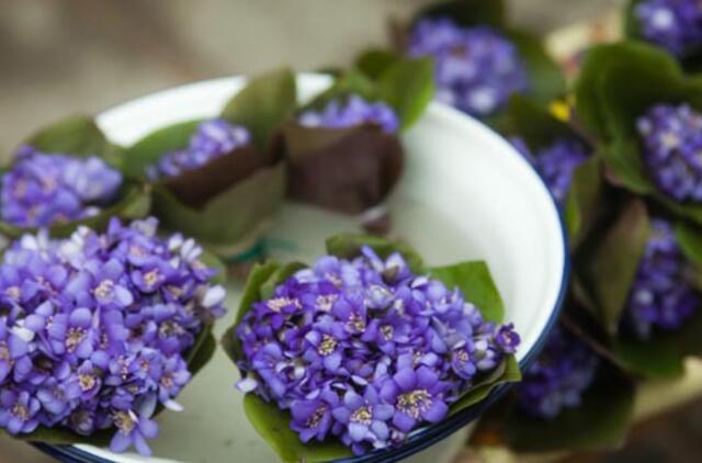 Balandžio 2-oji: vardadieniai, dangaus kūnai, istorija
