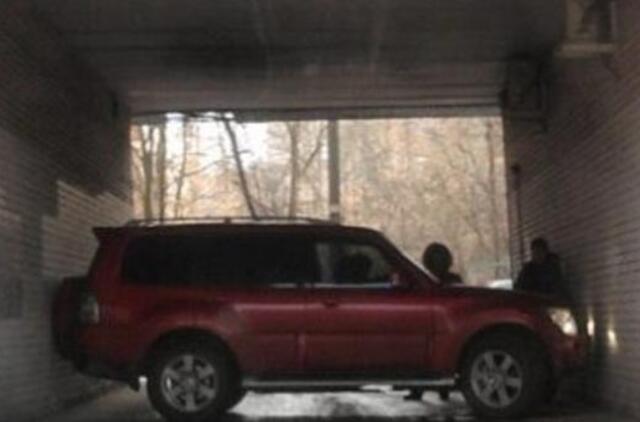 Bulvaras: tikėk - netikėk