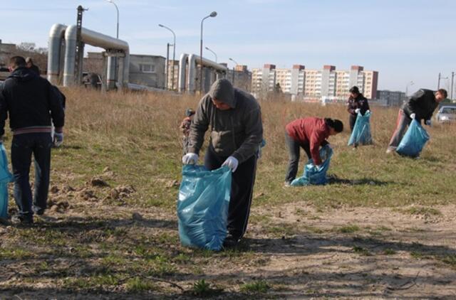 "Darom 2011": šiukšlių rinkimo taškai Klaipėdoje