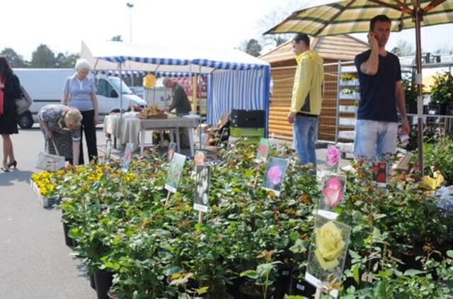 "Individuali statyba" - su žaliu atspalviu