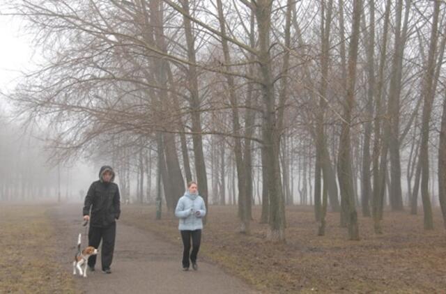 Klaipėda: VE.lt pristato balandžio 7-osios įvykius