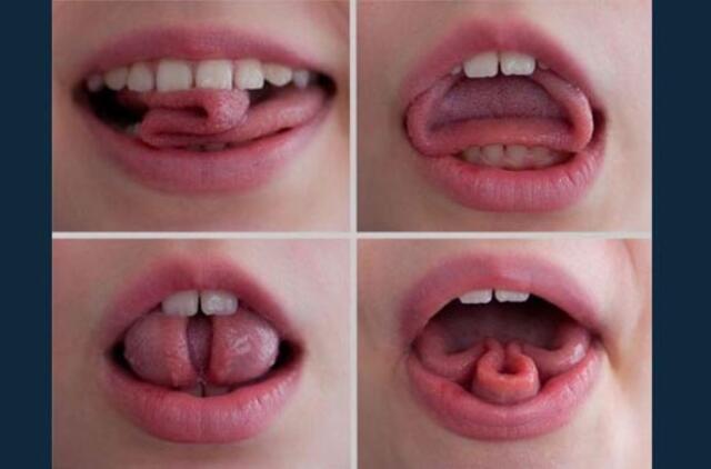 Bulvaras: tikėk - netikėk