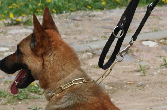 Festivalis suburs šunų mylėtojus