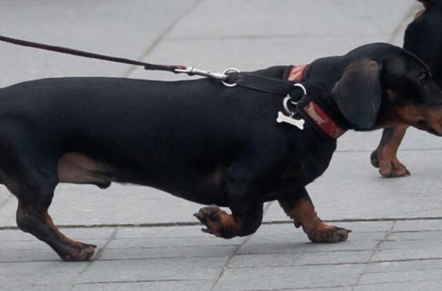 Gegužės 6-oji: vardadieniai, dangaus kūnai, istorija