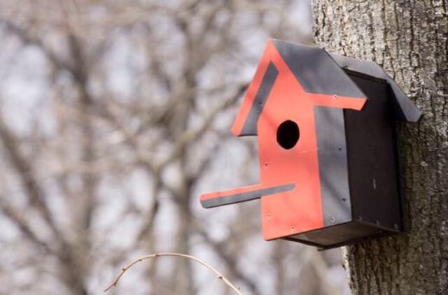 Gegužės 8-oji: vardadieniai, dangaus kūnai, istorija