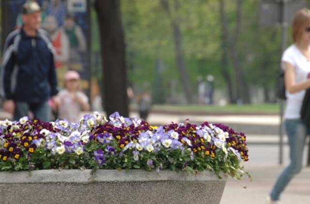 Klaipėda: VE.lt pristato gegužės 17-osios įvykius