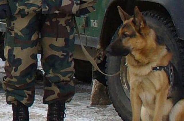 Pasieniečių šuo Rondis išgelbėjo 86-erių senolę