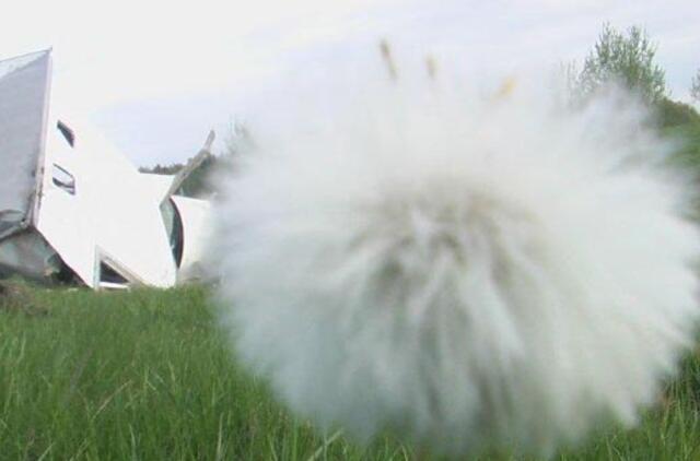 Susidūrimas baigėsi be kraujo