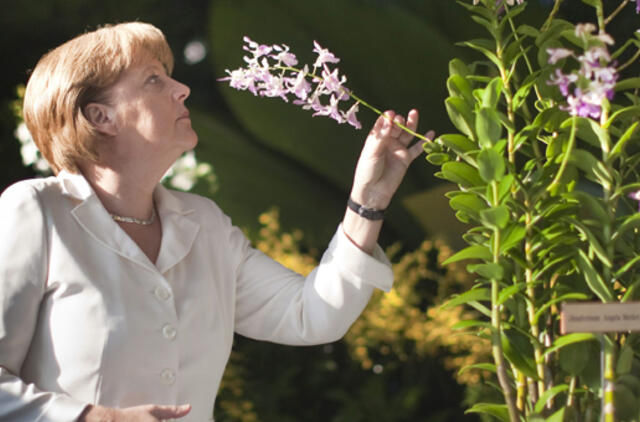 Angelos Merkel vardu pavadinta nauja orchidėjų rūšis
