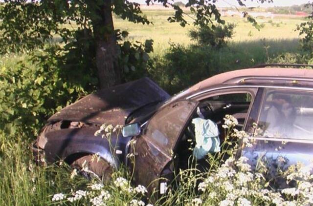 "Audi" sustabdė pakelės medis