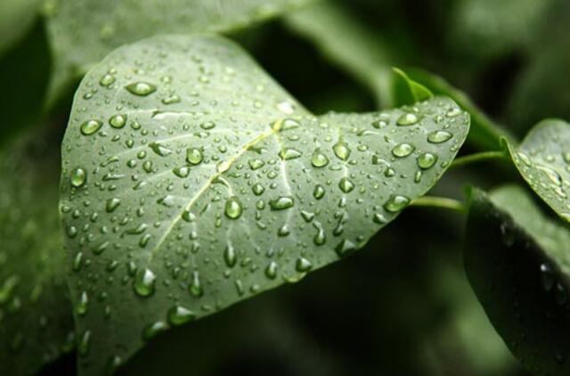 Birželio 23-oji: vardadieniai, dangaus kūnai, istorija