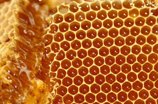 Birželio 6-oji: vardadieniai, dangaus kūnai, istorija