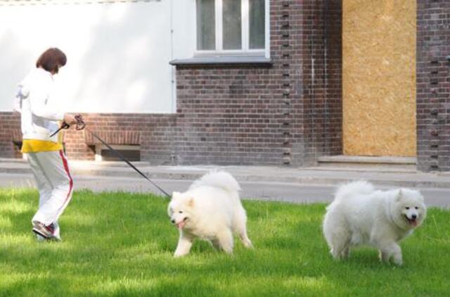 Klaipėdos trečiadienis, birželio 1-oji