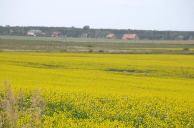 Už valstybės išperkamą žemę bus atlyginta pinigais