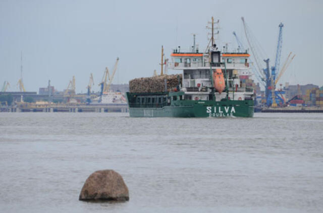 Auganti krova didina pelną ir investicijas