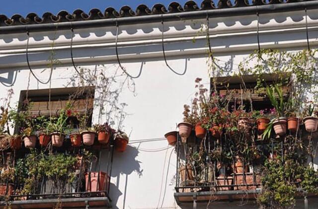 Ispanija. Kordobos pasaka