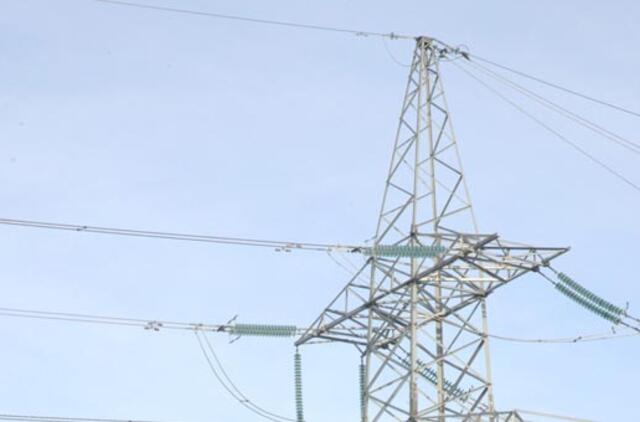 Latvijos prezidentas patvirtino, kad jo šalis norėtų pirkti Visagino AE elektrą
