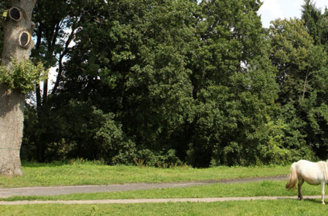 Liepos 31-oji: vardadieniai, dangaus kūnai, istorija