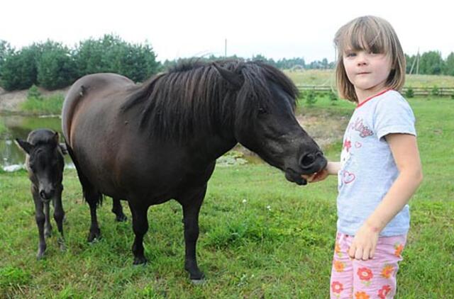 Lukrecijos poniai ir gyvūnų vaikų darželis