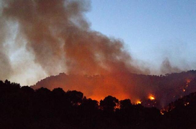 Maljorkoje ugnis sunaikino 30 hektarų miško