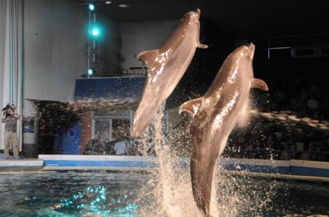 Susigrąžinkime delfinus