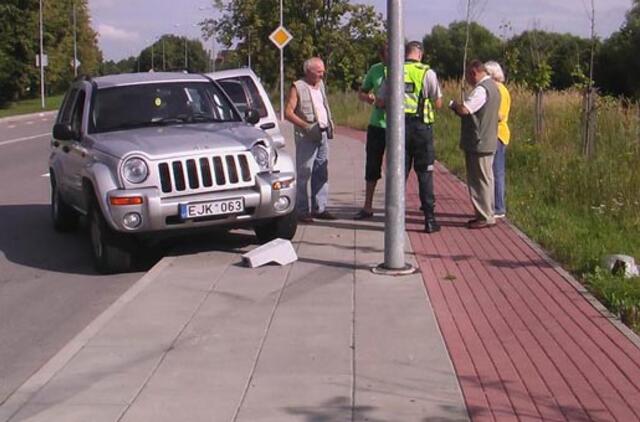 Vairuotojas kliūties nepamatė per pakelės krūmus