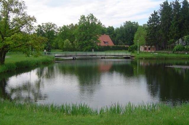 Apklausa: kur Šilutėje skelbti nerūkymo zonas?