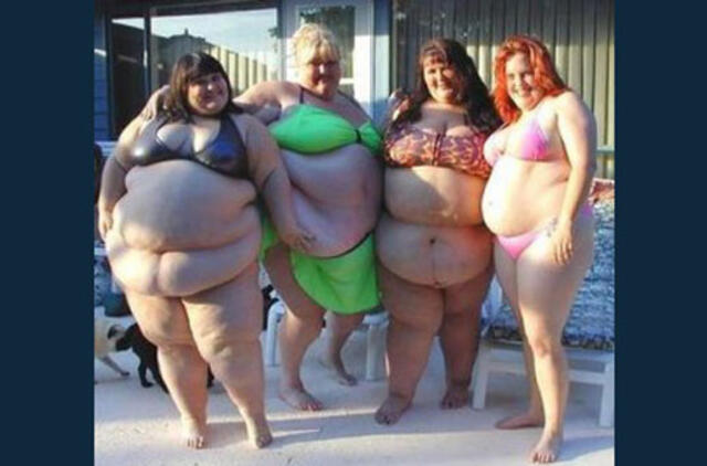 Bulvaras: tikėk - netikėk