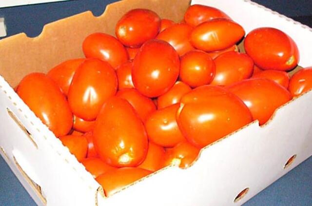 Kaip ilgiau išlaikyti pomidorus?