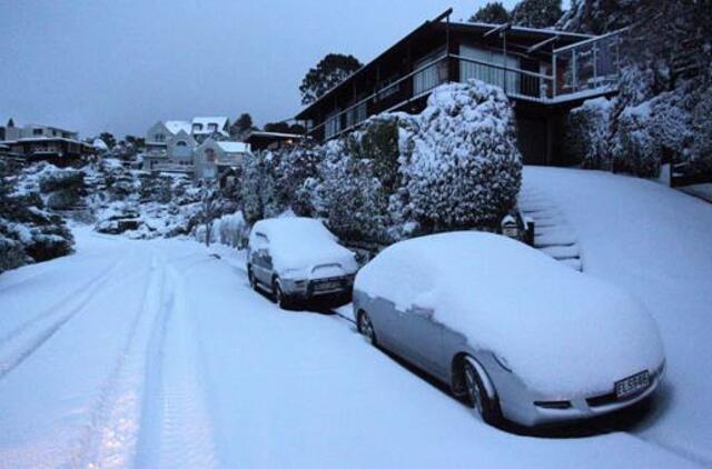 Naująją Zelandiją paralyžiavo sniego audra