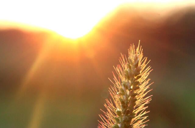 Rugpjūčio 21-oji: vardadieniai, dangaus kūnai, istorija