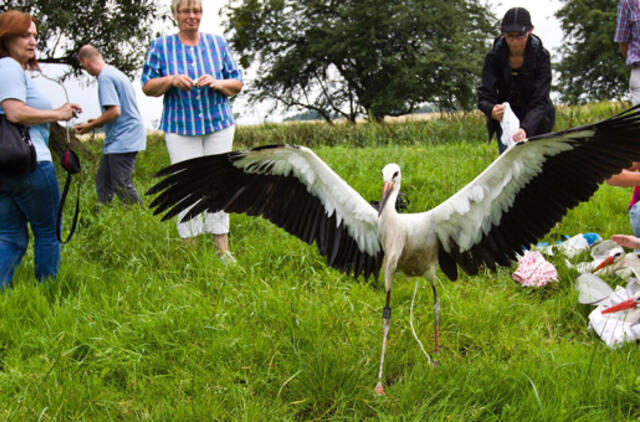 Rugpjūčio 7-oji: vardadieniai, dangaus kūnai, istorija