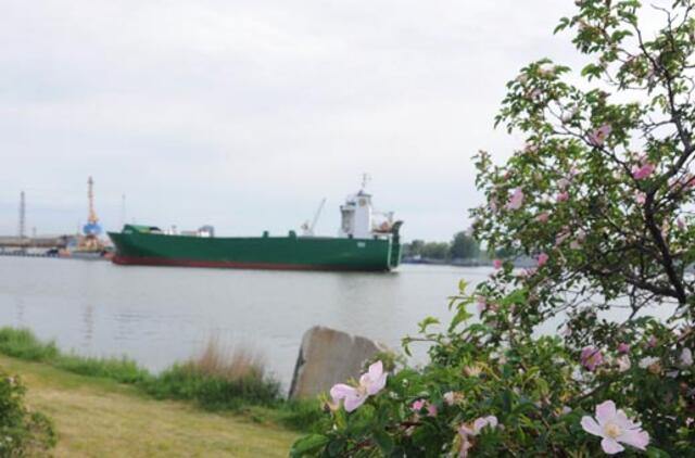 Rytoj - saulėta, sekmadienį - lietus