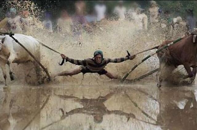 Bulvaras: tikėk - netikėk