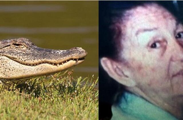 Floridoje senutė tik per stebuklą išsigelbėjo iš aligatoriaus nasrų