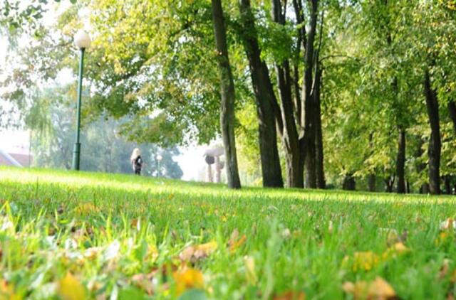 Klaipėda: VE.lt pristato rugsėjo 26-osios įvykius