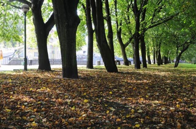 Klaipėda: VE.lt pristato rugsėjo 27-osios įvykius