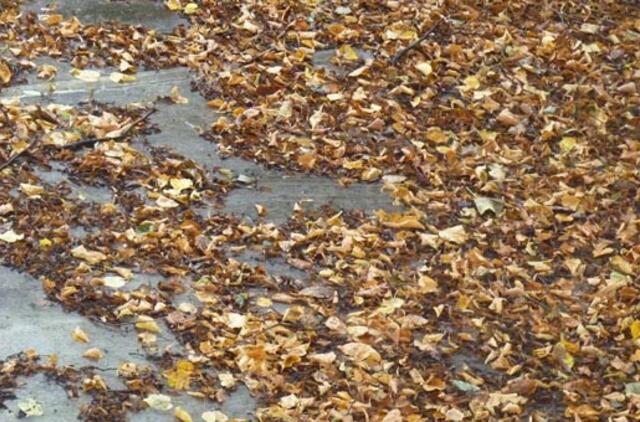 Klaipėda: VE.lt pristato rugsėjo 28-osios įvykius