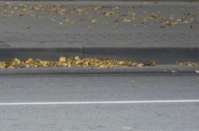 Klaipėda: VE.lt pristato rugsėjo 5-osios įvykius