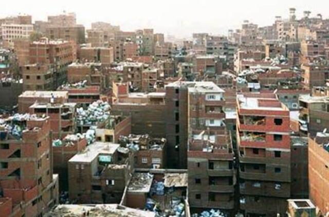 Parodų rūmuose - Miestų maratonas