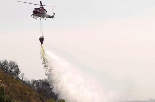 Prie Marbeljos kurorto Ispanijoje pelenais virto 300 hektarų miško
