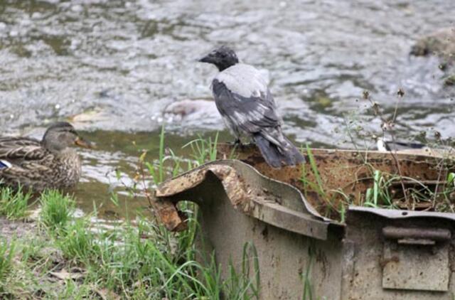 Rugsėjo 29-oji: vardadieniai, dangaus kūnai, istorija