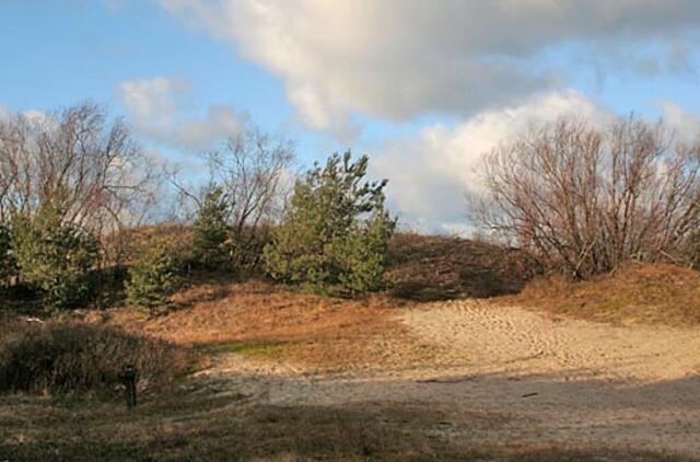 Ryškiausia rudeniškos Šventosios spalva