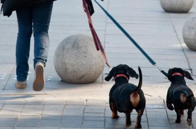 Šunų savininkai draudimu nesidomi