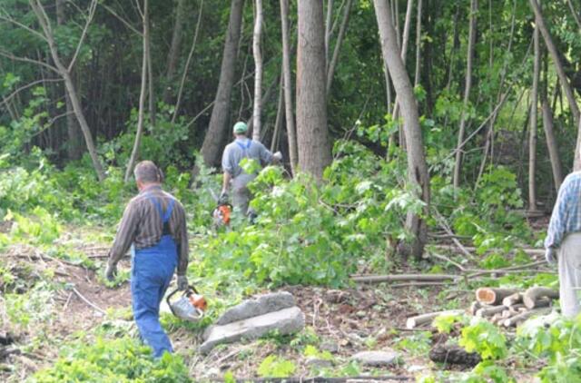 Uostamiesčio Žolynų kvartalui - kompromisas