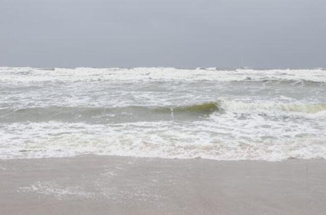 Klaipėda: VE.lt pristato spalio 11-osios įvykius