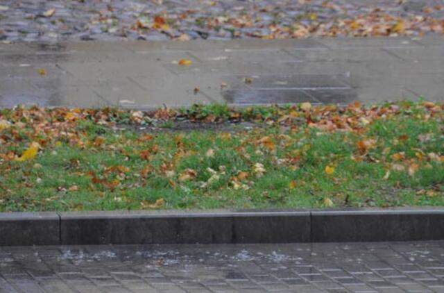 Klaipėda: VE.lt pristato spalio 12-osios įvykius