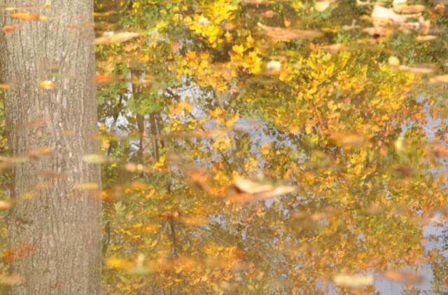 Klaipėda: VE.lt pristato spalio 17-osios įvykius